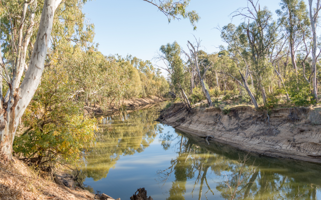 Why Spring Is the Perfect Time for an Echuca to Mildura Campervan Road Trip
